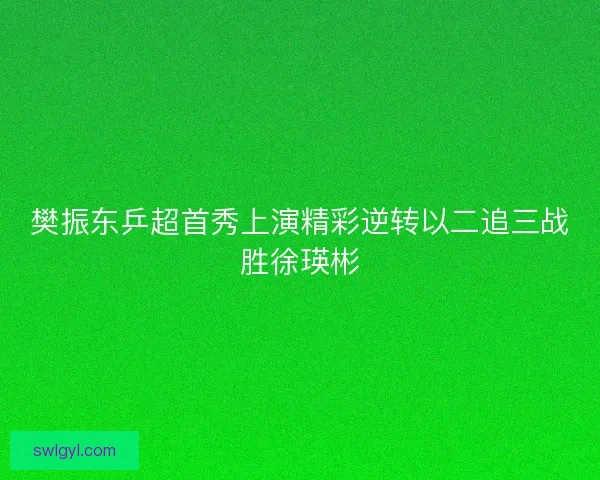 樊振东乒超首秀上演精彩逆转以二追三战胜徐瑛彬 樊振东乒超首秀上演精彩逆转以二追三战胜徐瑛彬