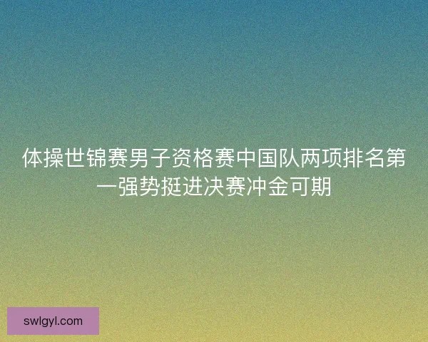 体操世锦赛男子资格赛中国队两项排名第一强势挺进决赛冲金可期